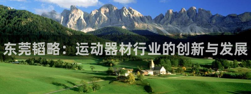 德国意昂4集团:东莞韬略:运动器材行业的创新与发展