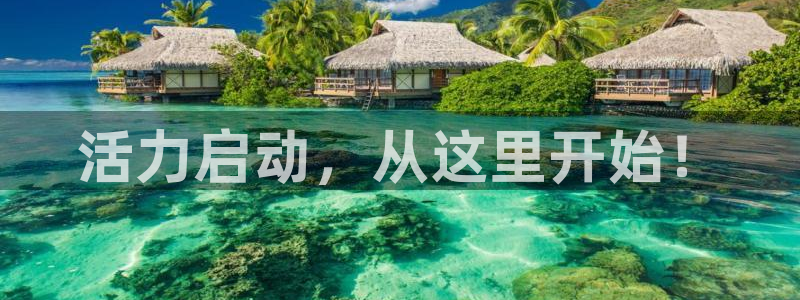 意昂体育4平台注册要钱吗安全吗:活力启动,从这里开始!