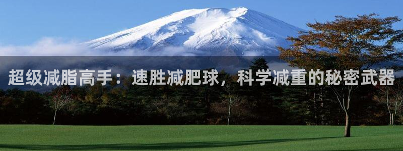 意昂体育4是干嘛的公司:超级减脂高手:速胜减肥球,科学减重的